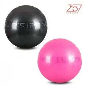 고품질 자전거에어주입기 휴대용자전거펌프 축구용품 헬스 발펌프 (WFKKQT2)