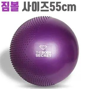 고품질 요가짐볼 스트레칭볼 맛사지 더바디시크릿 짐볼운 헬스짐볼 (WFKKQTQ)