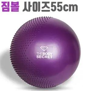 요가짐볼 스트레칭볼 맛사지 더바디시크릿 짐볼운 (WFKKQTQ)