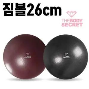 공 미니짐볼 복부관리 볼 테스 종아리 관리 운 (WFKKQTU)