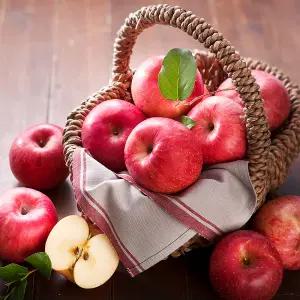 고급 부사 청송 사과 10kg (46-50과) (특)/꿀사과