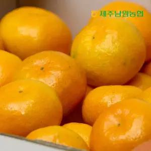 제주남원농협 비가림 감귤 대과 2.5kg (실중량)