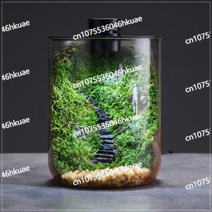 수경식물용 조명이 있는 미니어처 생태 유리 테라리움 이끼 컨테이너 홈 데코