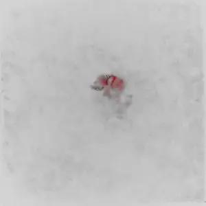 조화 벽꾸미기 조화장식 천장꾸미기 꽃벽