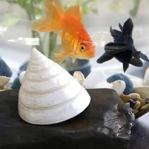 구피 베타 어항 꾸미기 바닥재 수족관 소라 장식 용품 (특가)