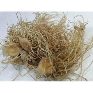 말린 대파뿌리 200g 이강산닷컴