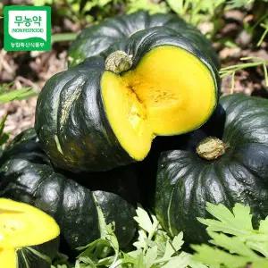 [친환경팔도][산지직송] 함평 정대성님의 무농약 햇 미니단호박(밤호박) 1kg