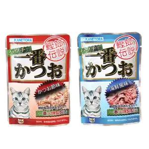 펫모닝 카네토라 파우치 60g