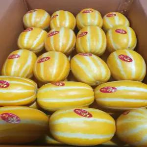 더 달콤한 성주참외 가정용 랜덤 혼합 2kg