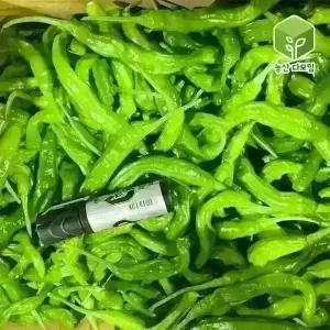 국내산 꽈리고추 상 4kg