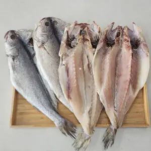 국내산 반건조 민어 4미