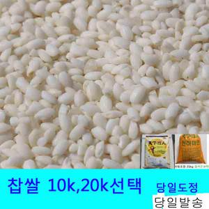 2025년생산 찹쌀20k,찹쌀현미20k선택