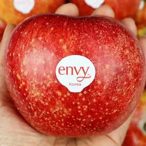 국내산 정품 엔비사과 5kg