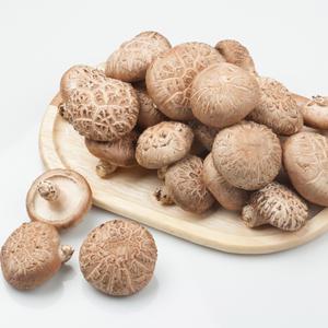 산지발송 국내산 표고버섯 1kg 외