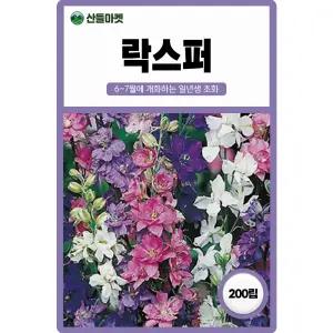 산들마켓 락스퍼 씨앗 200립 락스퍼 일년생 꽃씨 종자