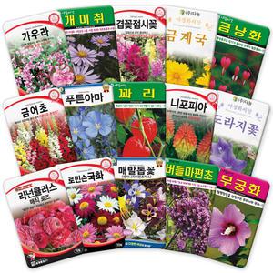 각종 꽃씨앗 모음 다년생 꽃씨 야생화 허브 종자