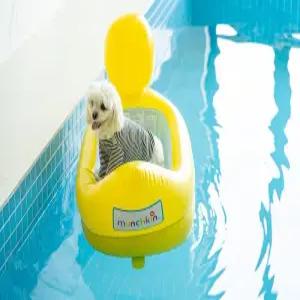 [충남] 태안 멍스클럽애견풀빌라(충남, 태안)