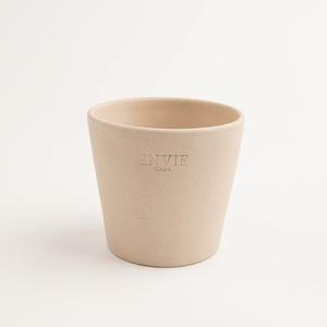 갑조네 앙비까사 베트남 빈 토분