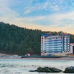 영덕 시포트리조트 펜션&풀빌라