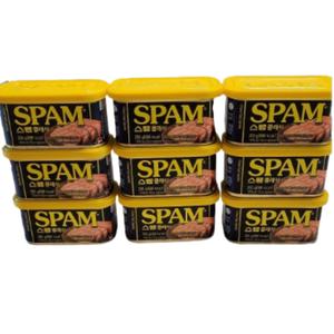 스팸 클래식 200g ,9개
