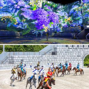 [제주] 노형수퍼마켓+더마파크 공연 관람권 / 실내관광지 미디어아트 제주공연