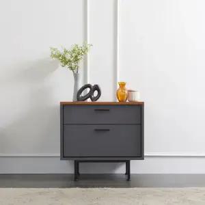 나무뜰 하츠 인테리어 서랍장 2단 THF001C (착불)