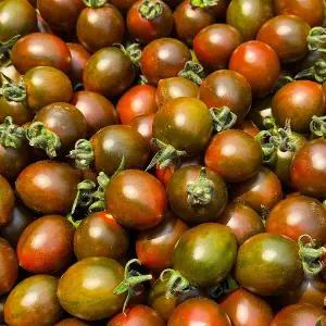 [맛군]당일수확 새콤달콤 대저 흑대추방울토마토 (1~3번과) 1kg