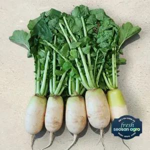 [프레시서산아그로]국내산 무청제거 천수무 2단