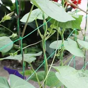 농사용 넝쿨그물망 유인줄 사각 고추재배망 500X180cm (WFJ5AJT)