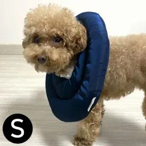 강아지넥카라 24cm 넥카라 브리더랩 넥카라 S (WFJ5Q7X)