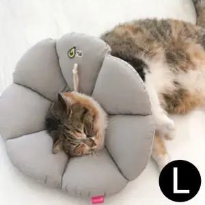 그레이 넥카라 L 애완용 (WFJR41K)