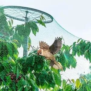 고품질 농작물 새그물망 보호 덮개 방조망 농업 2x10m (WFK9F9C)