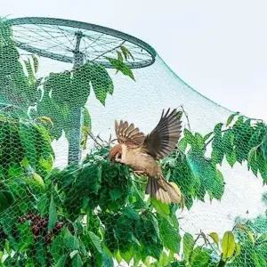 농작물 새그물망 보호 덮개 방조망 농업 2x5m (WFK9F9B)