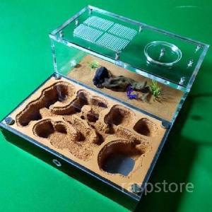 개미집 개미사육장 아크릴 둥지 단일 대형 키우기 개미키우기 개미