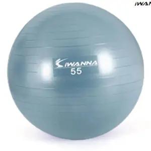 L86 안티버스터 짐볼 55cm 더스티블루 짐볼 헬스 마사