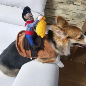 약탈범 강아지 옷 애견 코스튬 L 할로윈 웃긴 귀여운 (WFKB8DN)