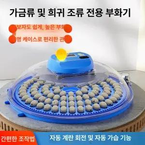 스마트 계란 부화기 메추리 자동