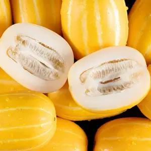 [2026년 첫 수확] 성주 꿀 참외 가정용 성주참외