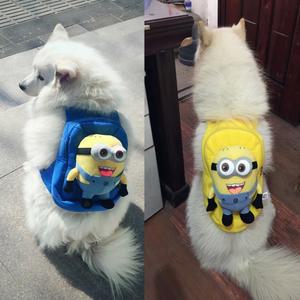 대형견 강아지 가방 배낭 설리