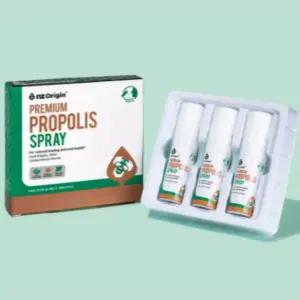 엔젯오리진 프로폴리스 구취 구강 스프레이 15ml X3