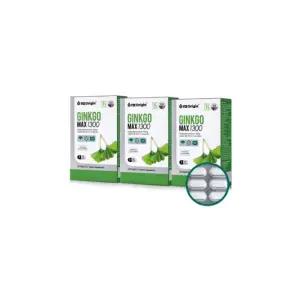 엔젯오리진 징코맥스 멀티비타민 은행잎추출물 90정