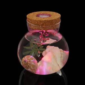 마리모 키우기 공병 수경 반려식물 유리병 반려용품 수경재배