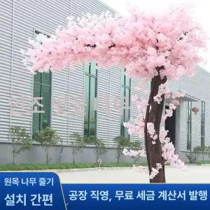 인조 벚꽃나무 2m 실내