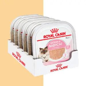 로얄캐닌 마더앤베이비캣 캔 트레이 100g 6개 아기고양이 주식 습식사료