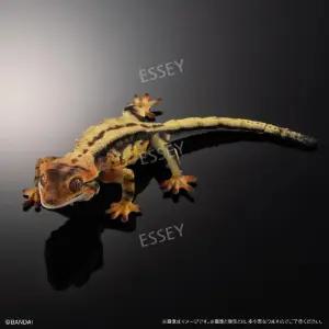 도마뱀 진짜같은 장난감 파충류 생물대도감 피규어