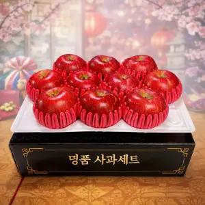 [명절선물] 꿍이네 프리미엄 사과 선물세트 3kg 5kg
