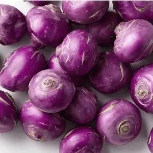 콜라비 10kg 알뜰혼합과