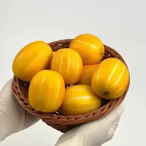 당일수확 고당도 성주 꿀 참외 겨울 하우스참외 가정용 2kg 3kg