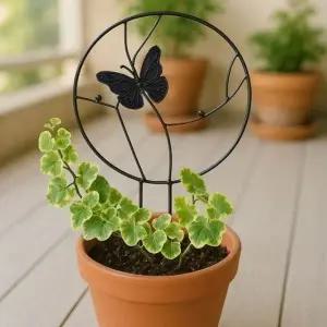 지지대 식물지지대 나무와 나비 식물 화초지주대