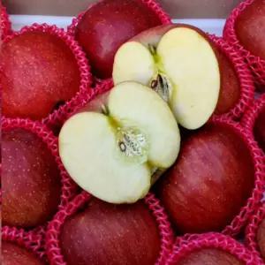 5KG+5KG 밀양 얼음골 꿀탱이 햇 사과 10KG 대과